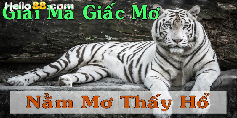 Giải Mã Điềm Báo Giấc Mơ Thấy Con Hổ Và Con Số May Mắn - pixon