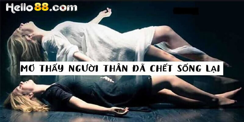 Sổ Mơ Lô: Giấc Mơ Thấy Người Chết Sống Lại Mới Nhất 2026 - pixon