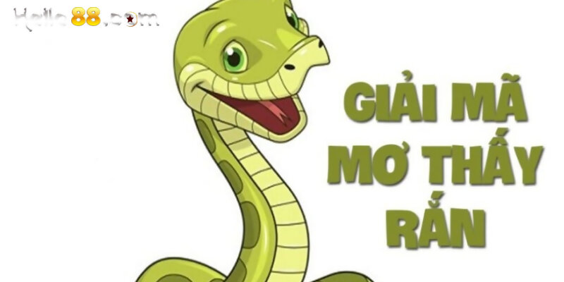 Mơ Thấy Rắn Đánh Con Gì? - Ý Nghĩa Giấc Mộng Rắn Đem Lại - pixon