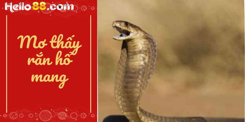 Nằm Mơ Thấy Rắn Hổ Mang Đánh Con Gì? Báo Điềm May Rủi? - pixon
