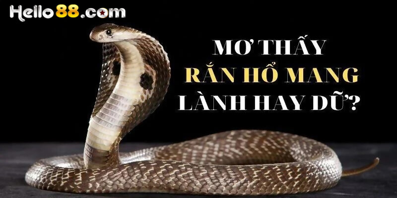 Nằm Mơ Thấy Rắn Hổ Mang Đánh Con Gì? Báo Điềm May Rủi? - pixon