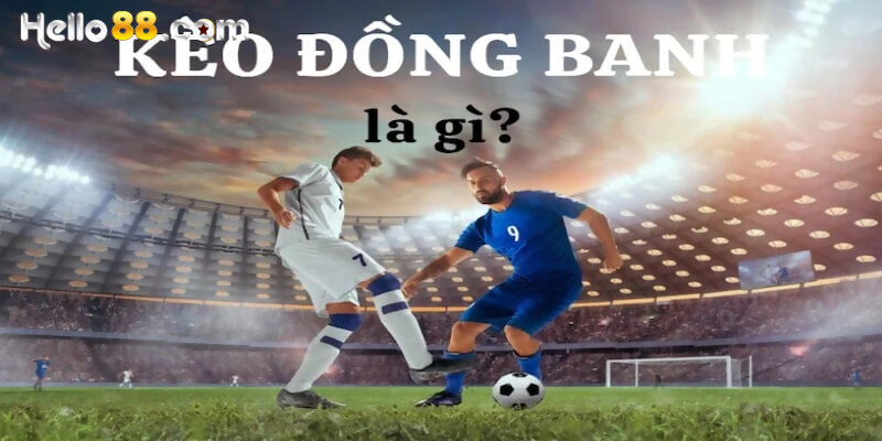 Kèo chấp đồng banh là gì? Mẹo bắt kèo chắc thắng - pixon