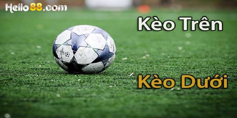 Kèo Trên Kèo Dưới Là Gì? Bật Mí Cách Đặt Cược Cơ Bản - pixon
