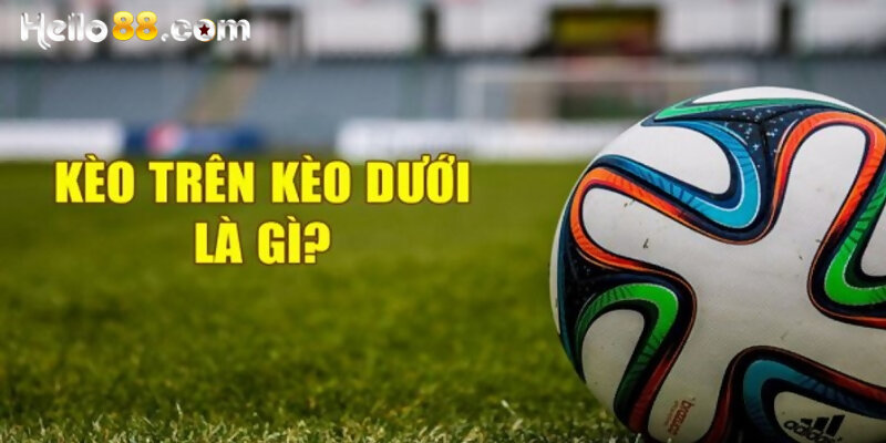 Kèo Trên Kèo Dưới Là Gì? Bật Mí Cách Đặt Cược Cơ Bản - pixon
