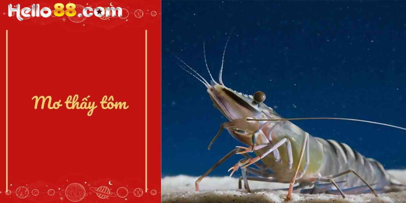 Nằm Mơ Thấy Tôm Báo Điềm Tốt Hay Xấu? Đánh Số Mấy Đẹp? - pixon