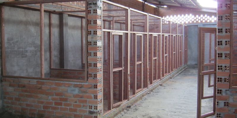 Chuồng Nuôi Gà Đá Chất Lượng Không Phải Ai Cũng Biết Làm - pixon