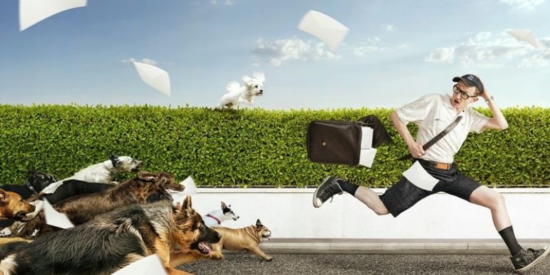Nằm Mơ Thấy Chó Đuổi Dự Báo Điều Gì? Đánh Con Gì Thắng Lớn? - pixon