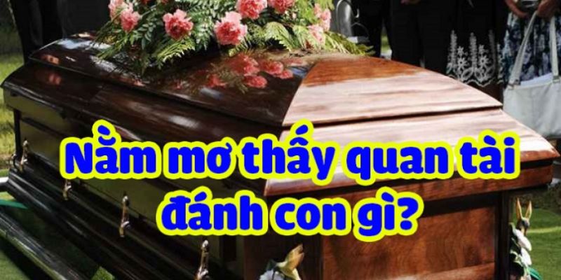 Nằm Mơ Thấy Quan Tài Đánh Số Gì Đảm Bảo Trúng Chắc? - pixon