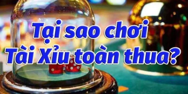 live casino - hello88kiwi - pixon