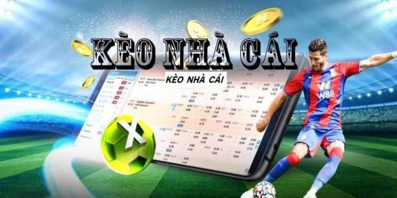Trực Tiếp Kèo Nhà Cái Hello88 - Hướng dẫn soi kèo hiệu quả - pixon