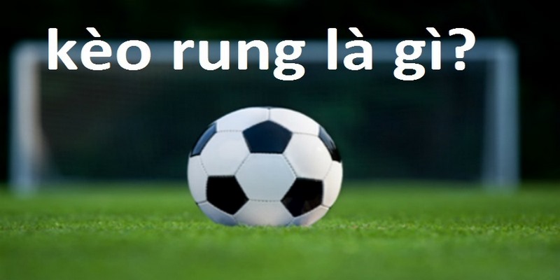 Tiết Lộ Cách Soi Kèo Rung Hiệu Quả Nhất Dành Cho Tân Binh - pixon