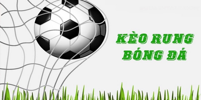 Tiết Lộ Cách Soi Kèo Rung Hiệu Quả Nhất Dành Cho Tân Binh - pixon