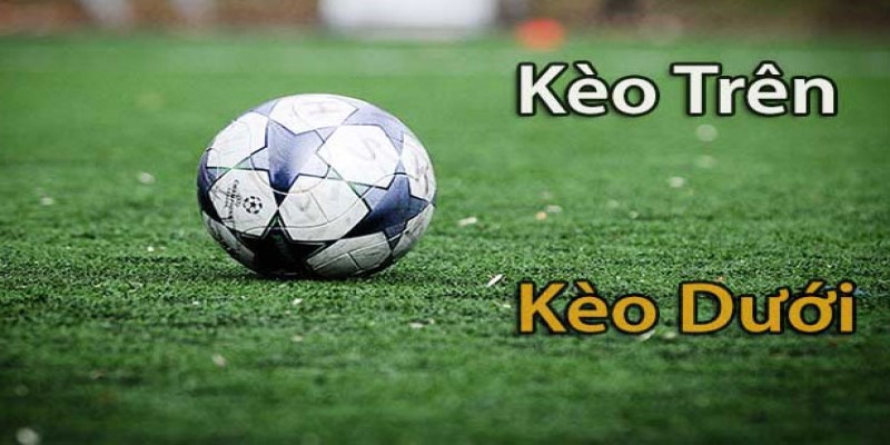 Kèo Trên Kèo Dưới Là Gì? Những Điều Cược Thủ Cần Biết - pixon