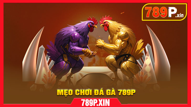 Đá Gà 789P – Trận chiến mãn nhãn, thắng lớn mỗi ngày - pixon