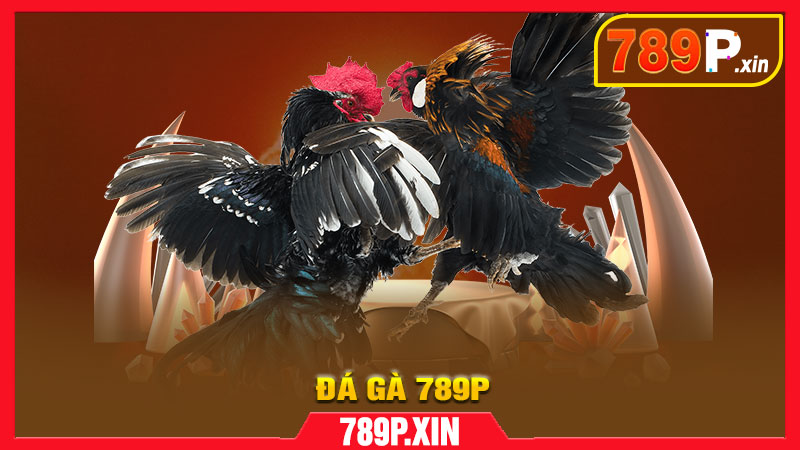 Đá Gà 789P – Trận chiến mãn nhãn, thắng lớn mỗi ngày - pixon