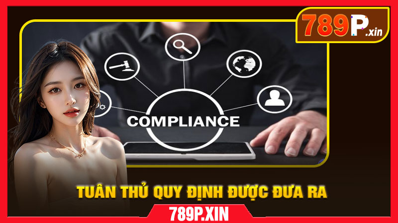 Trách Nhiệm Của Thành Viên Tại 789P – Chơi Vui Có Ý Thức - pixon